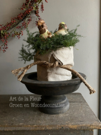 Taartje | Met bakkersdoek en 3 Amaryllis bollen 15 cm doorsnede en extra hoog