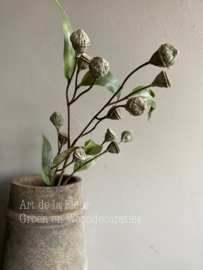 Eucalyptus Seed spray Green 71 cm