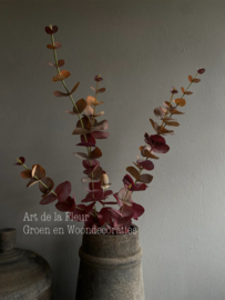 Eucalyptus Burgundy  81 cm