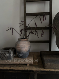 Vaas met twee kunst takken Els