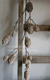Dennenappel Brown | white 100 cm