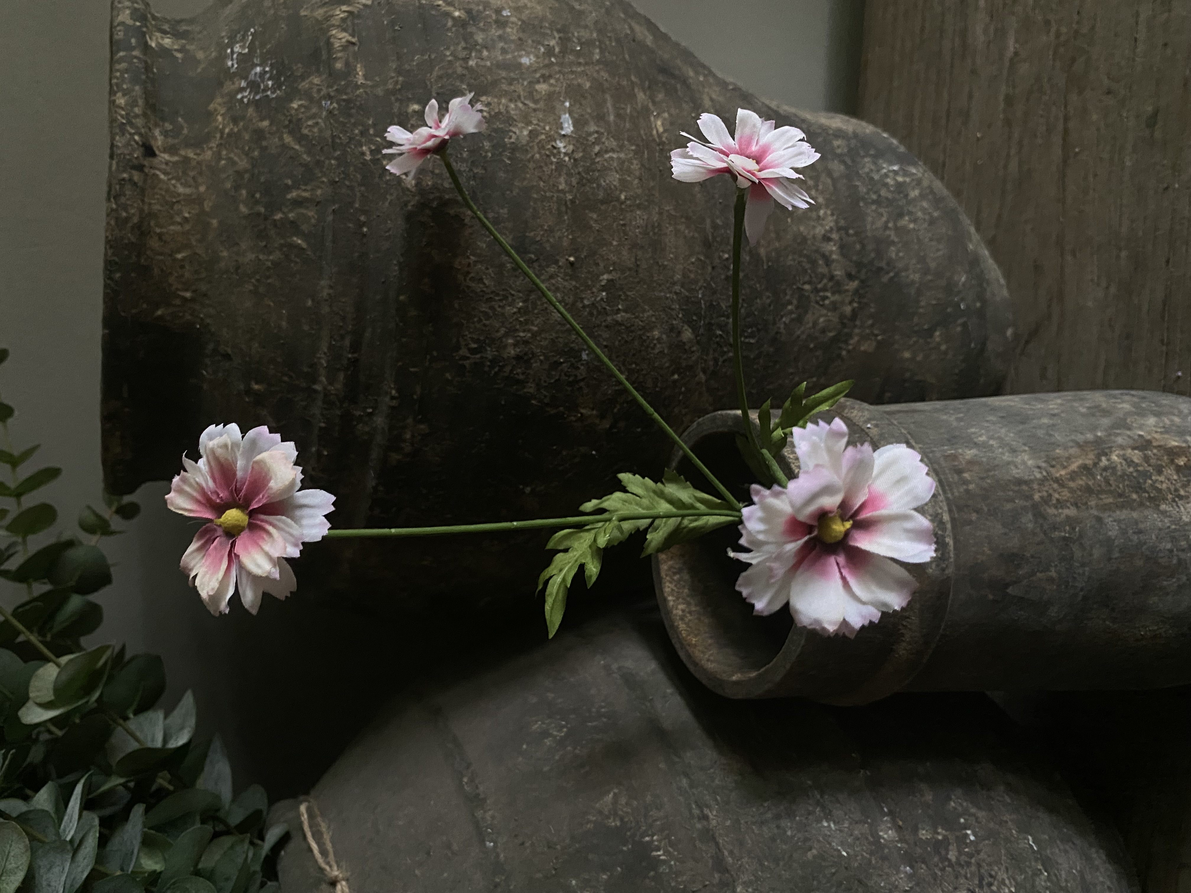 Daisy 64 cm