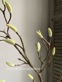 Magnolia Silk Flower S 77 cm ca 15 knoppen