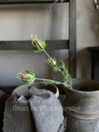Nigella tak met 3 knopjes 56 cm