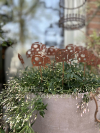 Roest tuinsteker Lieveheersbeestje 38 cm