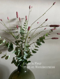 Boeket Pimpernel en Eucalyptus 5 takken excl vaas