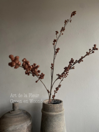 Plum Berry 110 cm ( zeer mooi ) roest kleurig