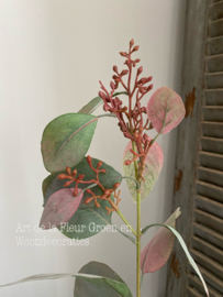 Eucalyptus Seed Spray 89cm
