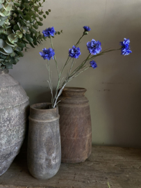 Korenbloem blauw 89 cm