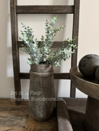 Steker | Eucalyptus grijs / groen 45 cm