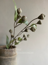 Eucalyptus Seed spray Green 71 cm