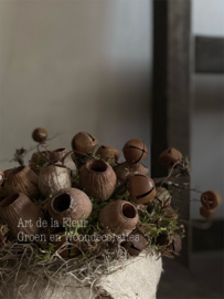Taartje  | met Eucalyptus Bells en roestige belletjes 15 cm