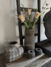 Samengesteld , XL Tulpen , Pimpernel en Gagel Pastel