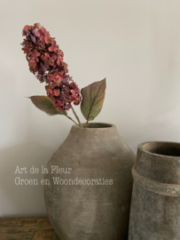 Hortensia Burgundy pluim 67 cm