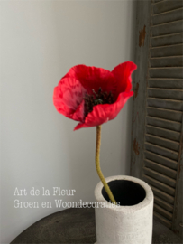 Poppy Red 69 cm