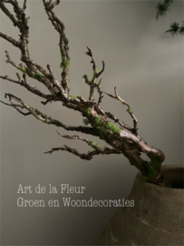 Kunst tak Twig spray 70 cm
