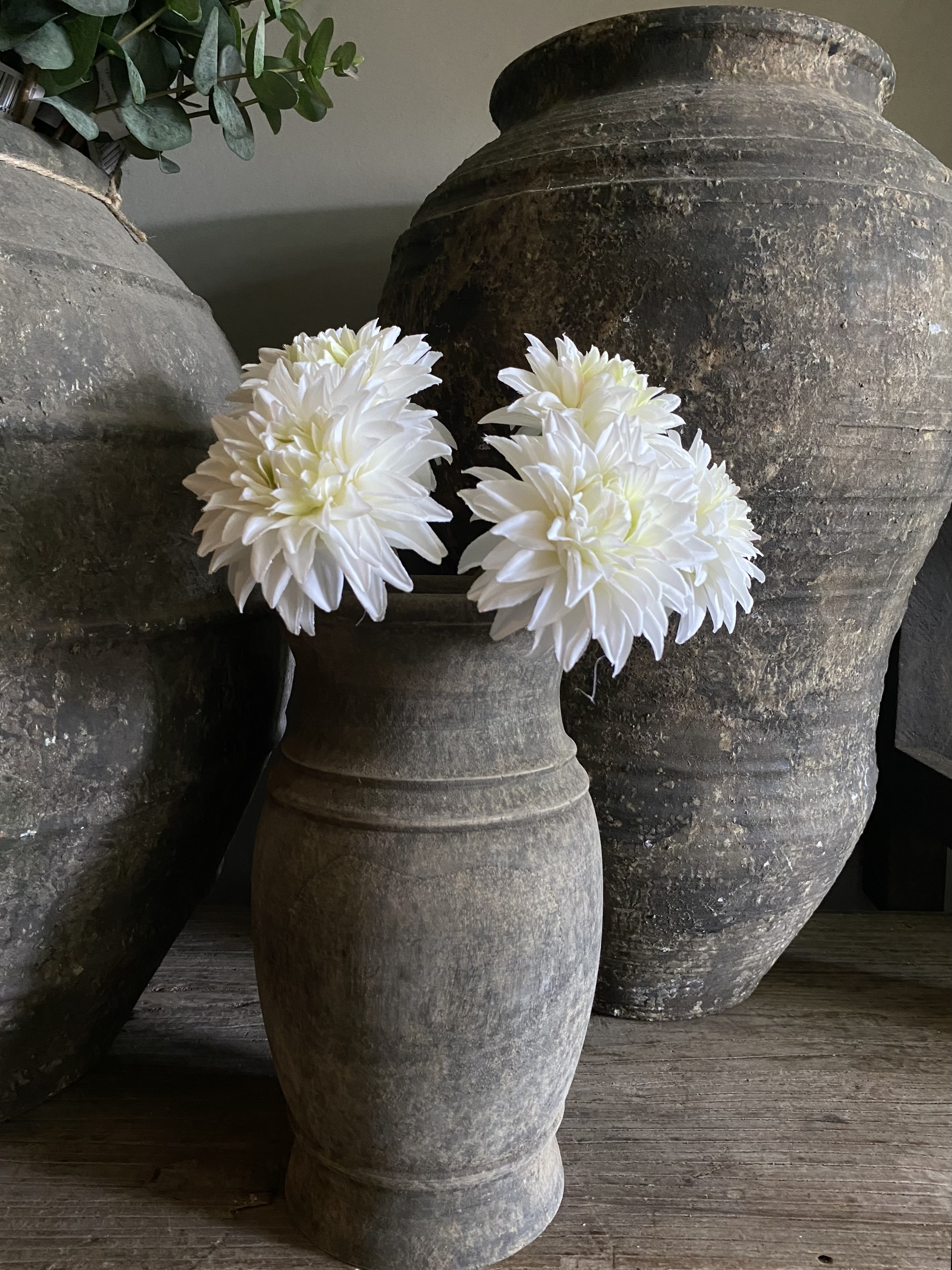 Dahlia bundel van 5 wit