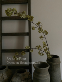 Groene Bloesem 112 cm