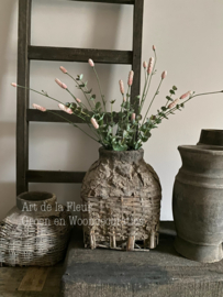 Subtiel samen gebonden takken Eucalyptus en Roze Pimpernel