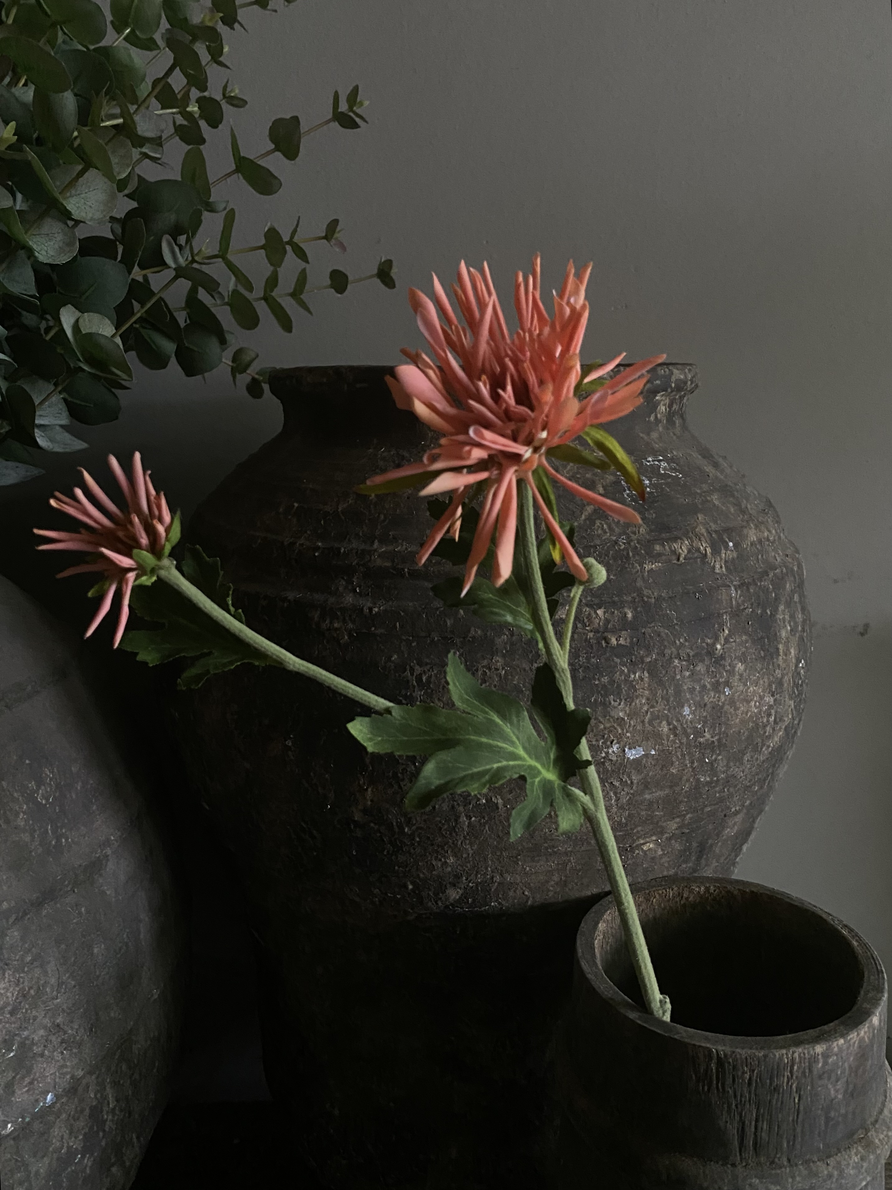 Mum spray koraal 60 cm