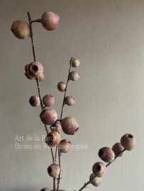 Vijgentak 95 cm groen | bruin