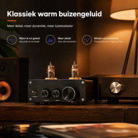 Bluetoolz® BT-05 High End Buizen voorversterker met Bluetooth