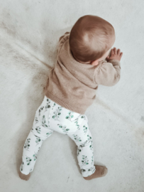 Legging eucalyptus