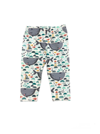 Legging walvis maat 68