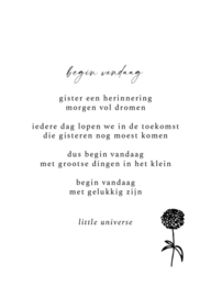 Begin vandaag - little universe