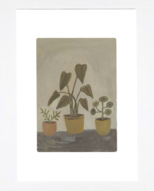 Gemma Koomen 'Houseplants' A4 Print