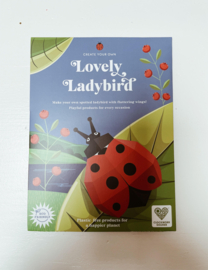 Create your own lovely ladybird