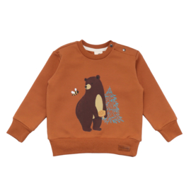 Walkiddy baby bears pullover sweatshirt