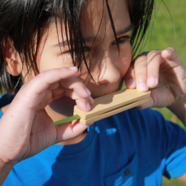 Huckleberry grass whistle