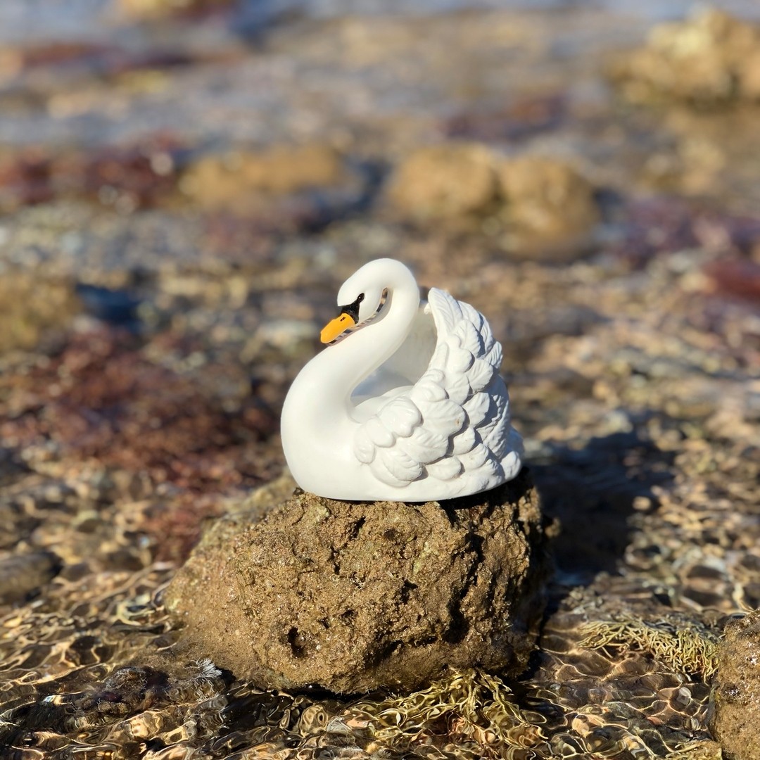 NATRUBA - BATHTOY SWAN - large