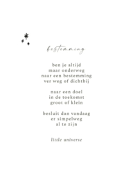 Bestemming - little universe