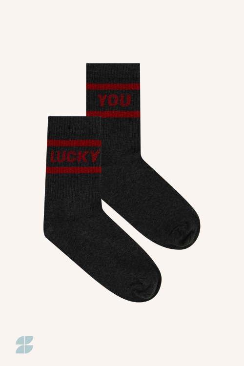 By Bar lucky sparkle dark grey socks | wine