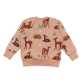 Walkiddy baby deers pullover-sweatsh
