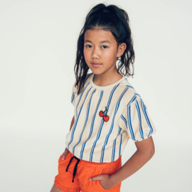 CarlijnQ stripes blue puffed sleeves top with embroidery