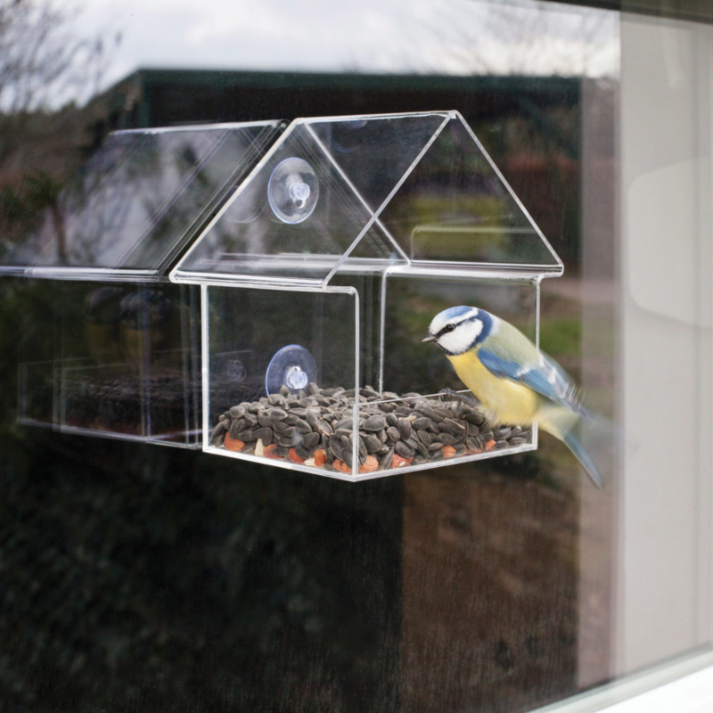 beeld Romanschrijver omverwerping Raam voeder huisje vogel | Outdoor | Su&Jill