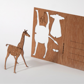 Giraf 3D postkaart