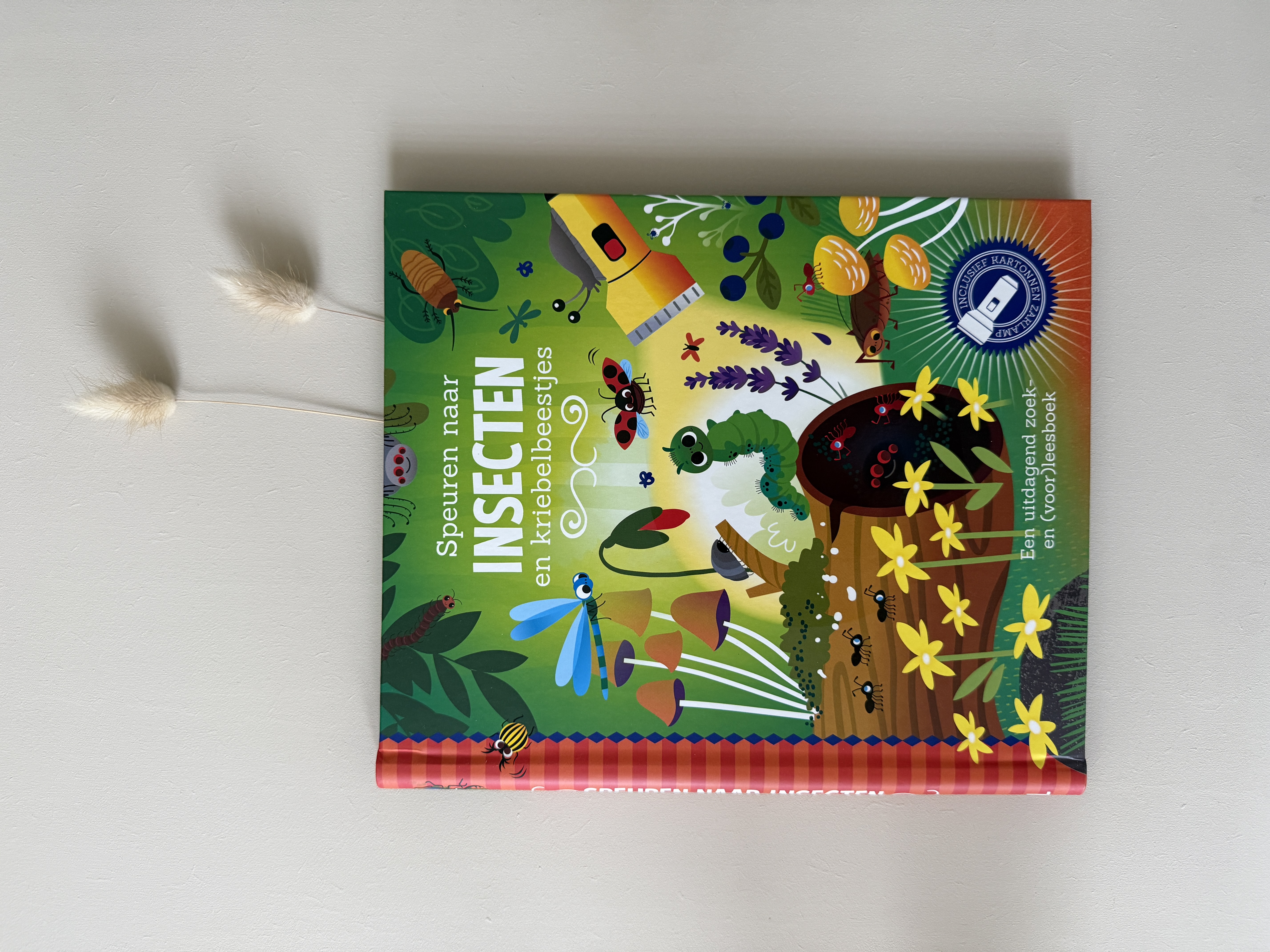 Zaklampboek | Speuren naar insecten