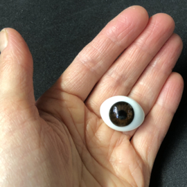 Ovale donker bruine glasogen 20 of 24 mm breed   - glazen ogen - paperweight poppenogen.