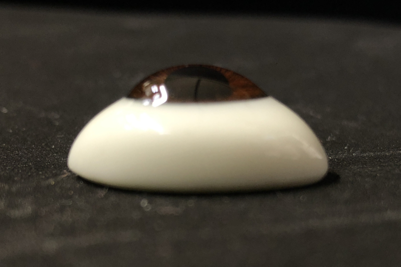 Ovale blauwe of donkerbruine glasogen 18 mm breed   - glazen ogen - paperweight poppenogen.