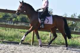 Te reserveren paarden HIER
