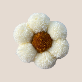 Pompom Daisy