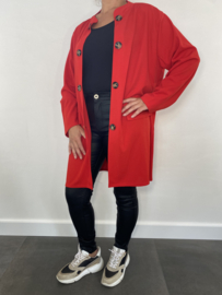 +Size vest rood
