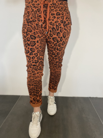 Joggjeans luipaard stone
