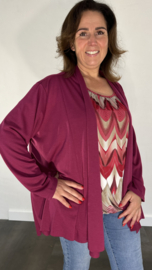 Vest met sjaalkraag brenda aubergine