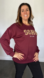 Sweater Soho aubergine