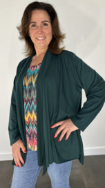 Vest met sjaalkraag brenda donker groen